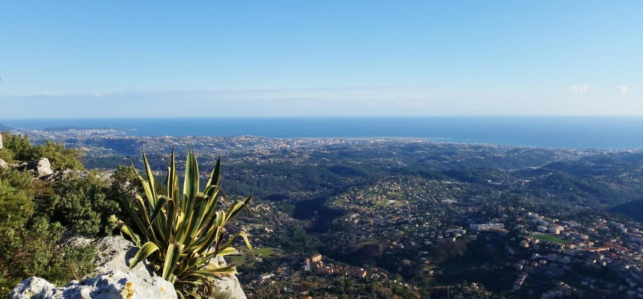 Gite Les Citronniers Vence Esterno foto