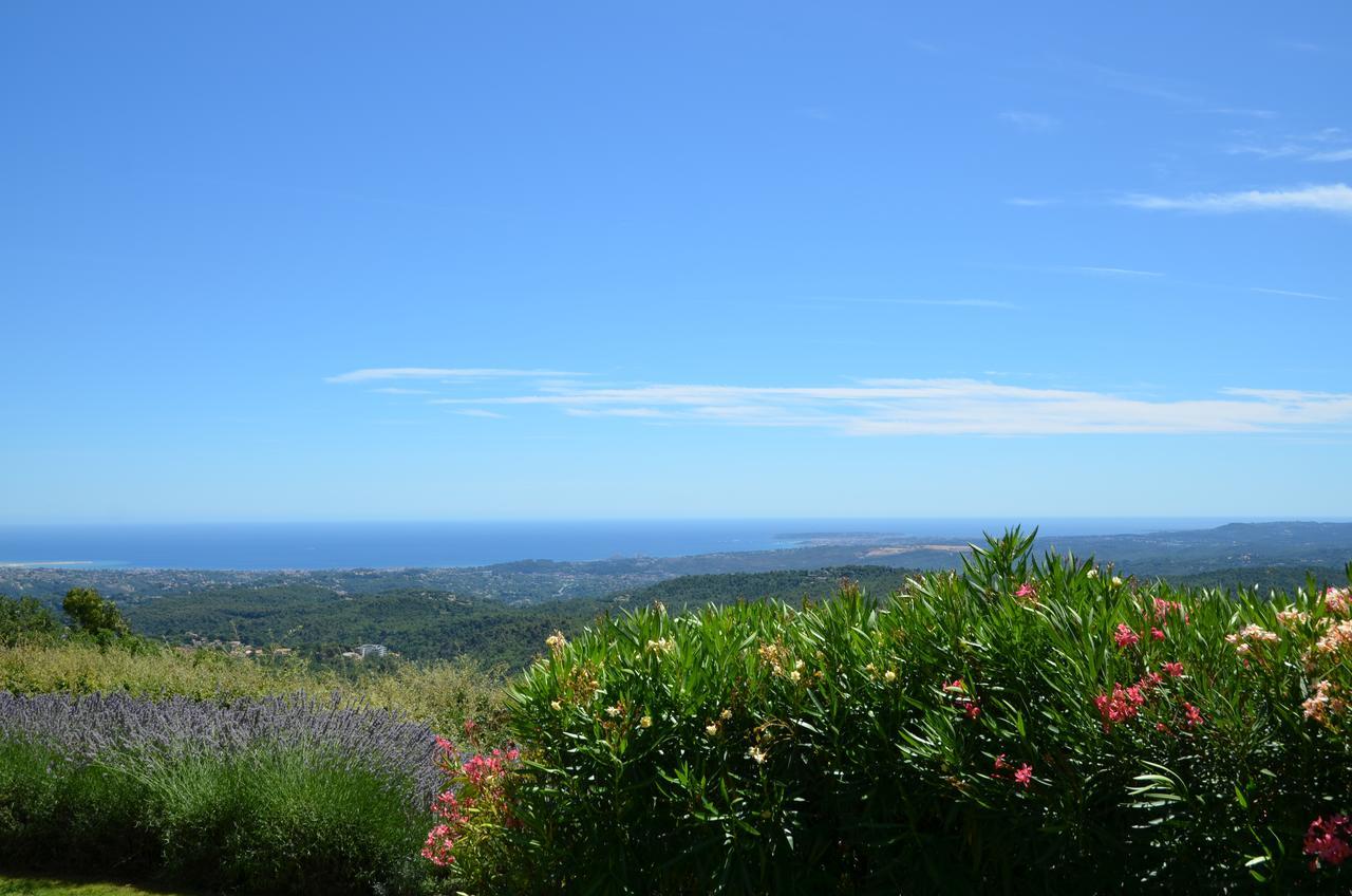 Gite Les Citronniers Vence Esterno foto